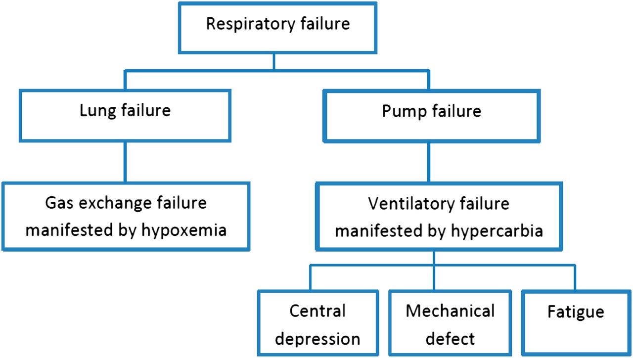 respiratory_failure_2.jpg