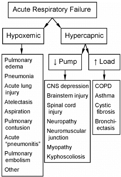 respiratory_failure_3.png
