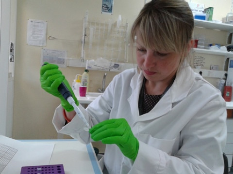 Відгук учасниці програми Еразмус+  аспірантки НДІ ГІОРПФ Колінько Л.М