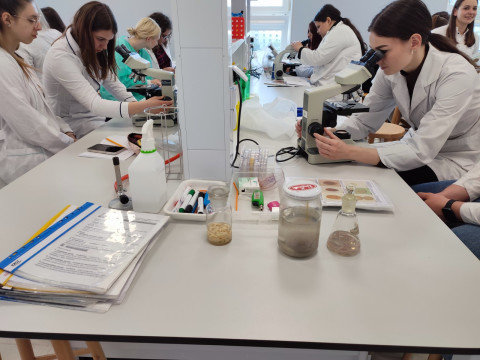 Відгук учасниці програми Erasmus+ доц. Клепець О.В.