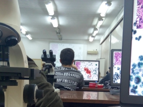 Відгук учасниці програми Erasmus+  Денисенко Аліни