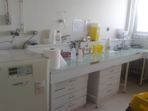 Відгук учасниці програми Еразмус+  аспірантки НДІ ГІОРПФ Колінько Л.М