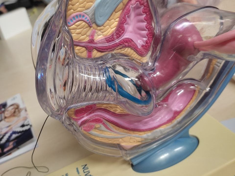 Відгук учасниці програми Еразмус+ Шубіної Олександри