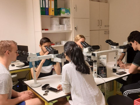 Відгук учасниці програми Еразмус+ доц. Мамонтової Т.В.