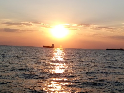 Відгук учасниці програми Erasmus+  Денисенко Аліни