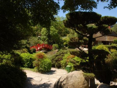 Відгук учасниці програми Еразмус+  аспірантки НДІ ГІОРПФ Колінько Л.М