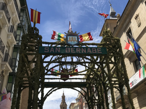 Відгук учасниці програми Erasmus+ Липко Анастасії