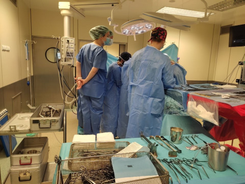 Відгук учасниці програми Еразмус+ Шубіної Олександри