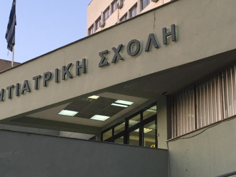 Відгук про викладацьке стажування в рамках програми Erasmus+ Лисанець Ю.В