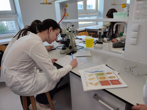 Відгук учасниці програми Erasmus+ доц. Клепець О.В.