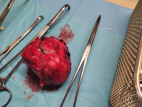 Відгук учасниці програми Еразмус+ Шубіної Олександри