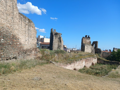 Відгук про викладацьке стажування в рамках програми Erasmus+ Янко Н.В.