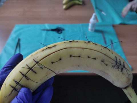 Відгук учасниці програми Еразмус+ Шубіної Олександри