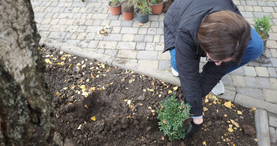 Дбаємо про упорядкування території Університету / Taking Care of the Territory of the University