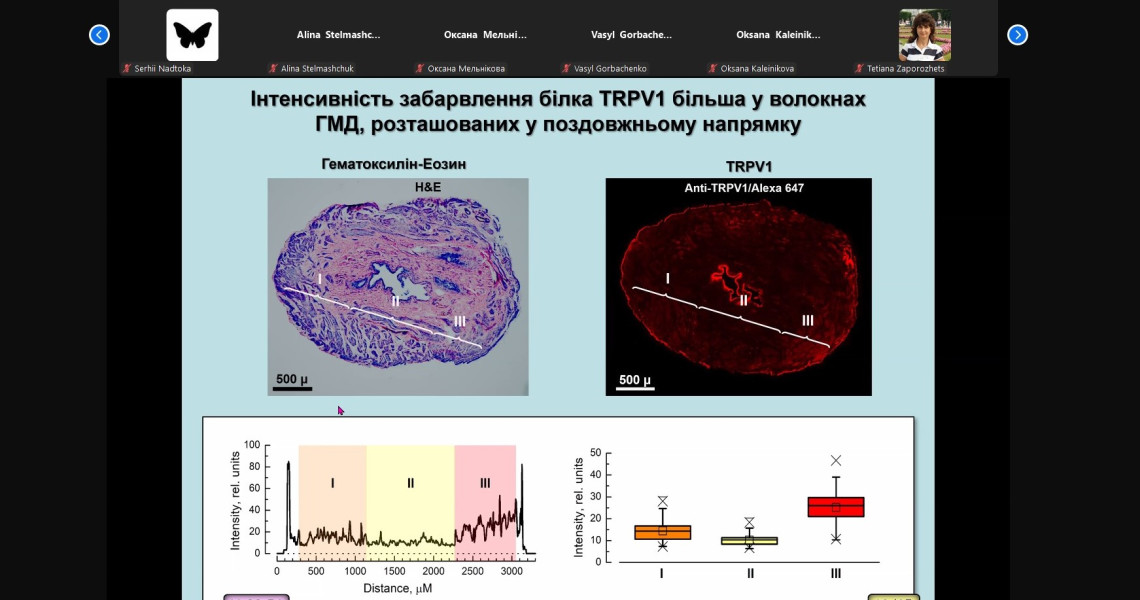 Участь у міжнародній конференції з нейронаук та наукових читаннях / International Neuroscience Conference and Scientific Readings